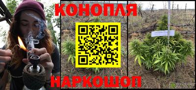 гидра Можайск