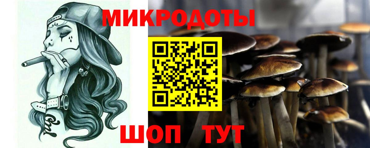 Псилоцибиновые грибы прущие грибы  Вход с VPN  Выкса 